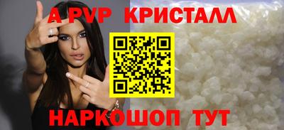 дурь Кингисепп