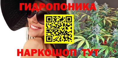 дурь Кингисепп