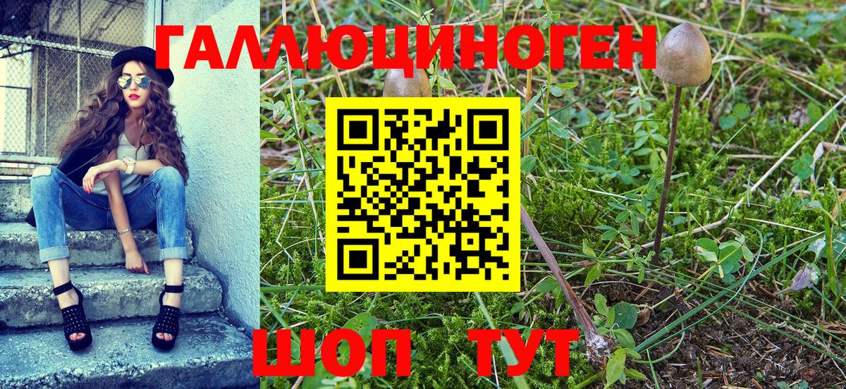 Галлюциногенные грибы Cubensis Кострома